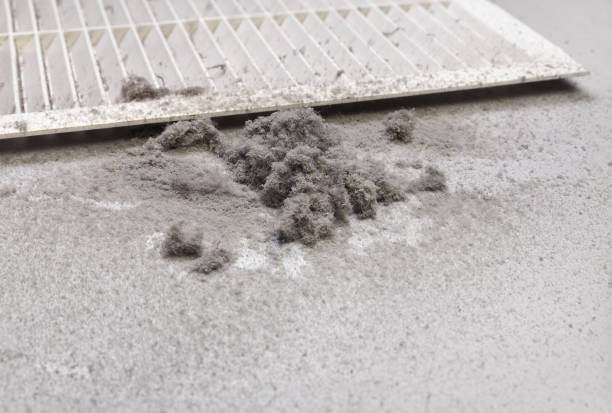 Best Best Air Duct Cleaning Company  in Oakland, SC