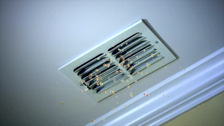 Best Professional Duct Cleaning Services  in Oakland, SC